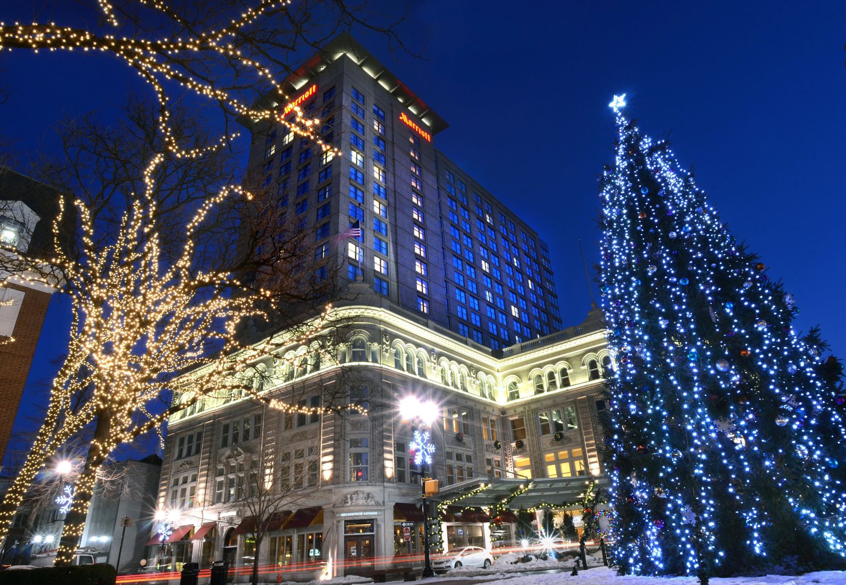 Christmas tree, 2013